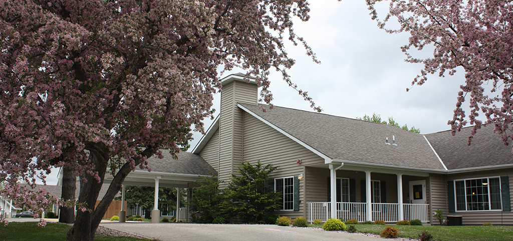 Spring blossoms at Pioneer Cottages