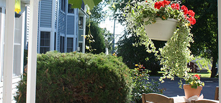 Outdoor patio area shaded by grape arbors